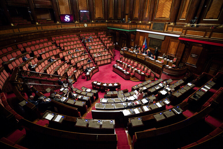 L 'aula del Senato durante la discussione generale del disegno di legge  sulla maternità surrogata - RIPRODUZIONE RISERVATA