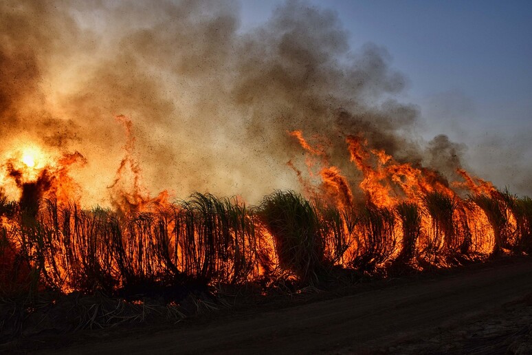 Il cambiamento climatico aumenta le morti causate dal fumo degli incendi (fonte: Pixabay) - RIPRODUZIONE RISERVATA