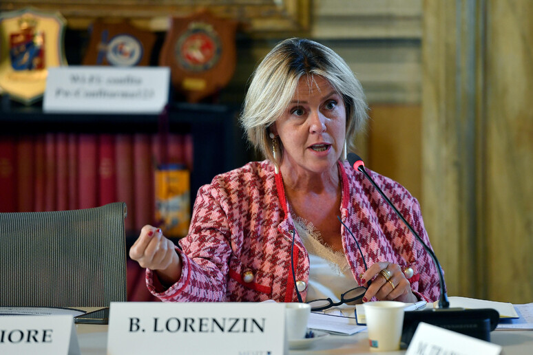 Beatrice Lorenzin all 'evento MESIT Salute e Legge di Bilancio - RIPRODUZIONE RISERVATA