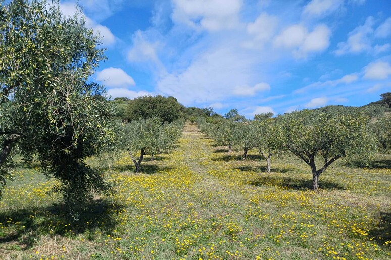 - RIPRODUZIONE RISERVATA