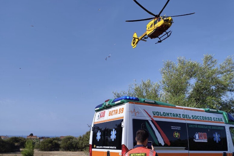 Schiacciato da un albero, gravissimo un uomo di 54 anni