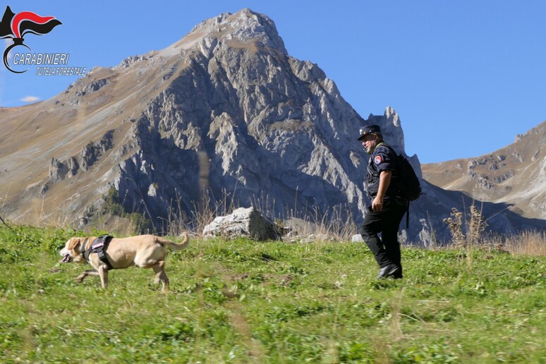 - RIPRODUZIONE RISERVATA