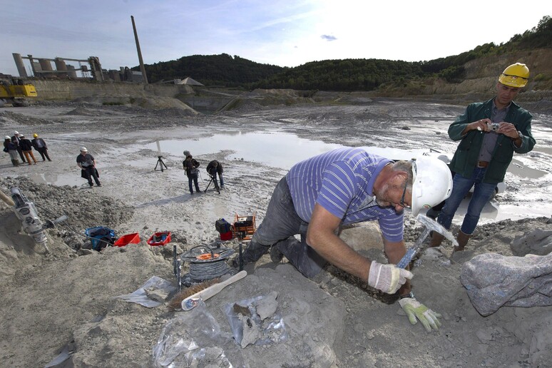 - RIPRODUZIONE RISERVATA