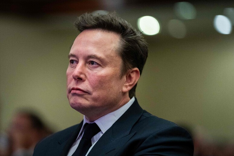 Elon Musk © ANSA/AFP