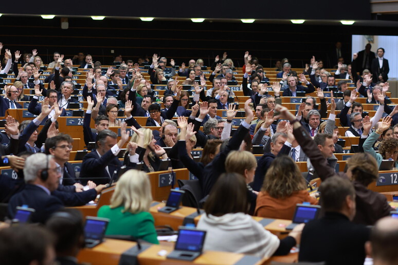 La Commissione analizza le modifiche dell 'Eurocamera alla legge sulla deforestazione" © ANSA/EPA