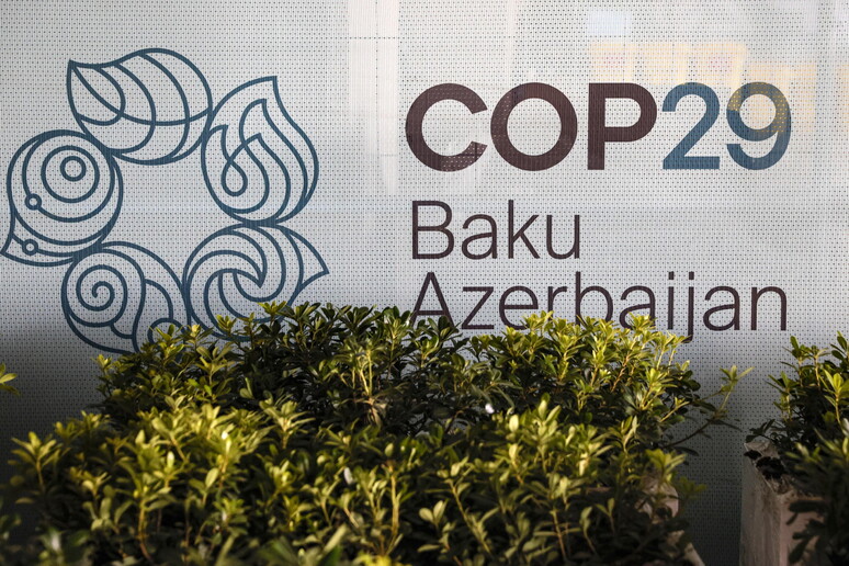 Cop29, 300 milioni nel 2024 per il fondo per l'adattamento