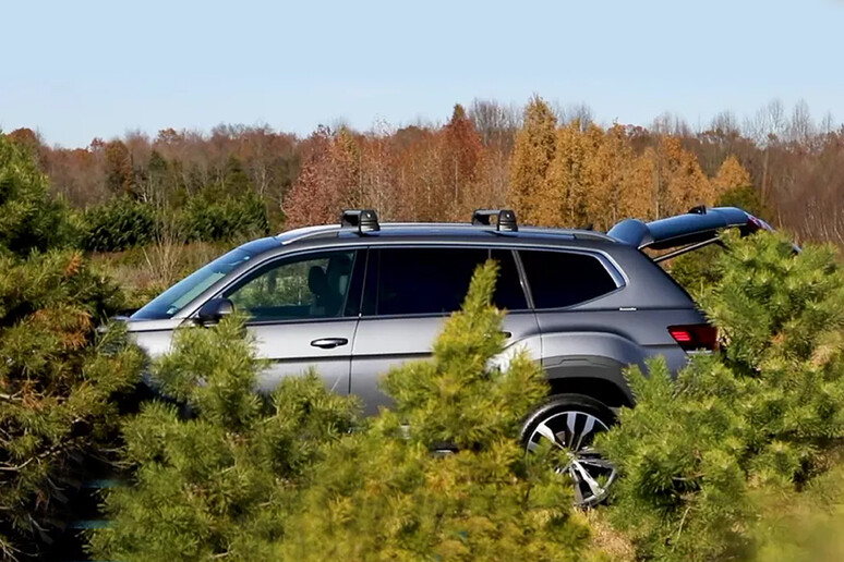 Albero di Natale, come trasportarlo in auto senza stress - RIPRODUZIONE RISERVATA