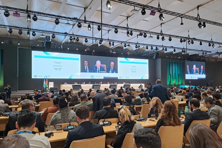 ++ Cop29 approva il mercato internazionale del carbonio ++