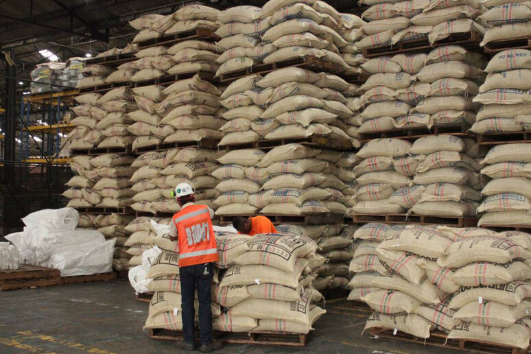 A rischio le esportazioni del caffè colombiano