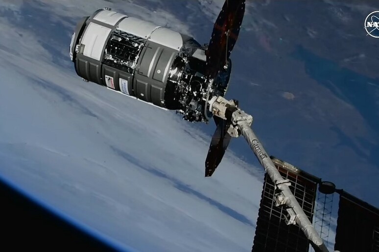 La navetta Cygnus agganciata al braccio robotico (fonte: NasaTv) -     RIPRODUZIONE RISERVATA