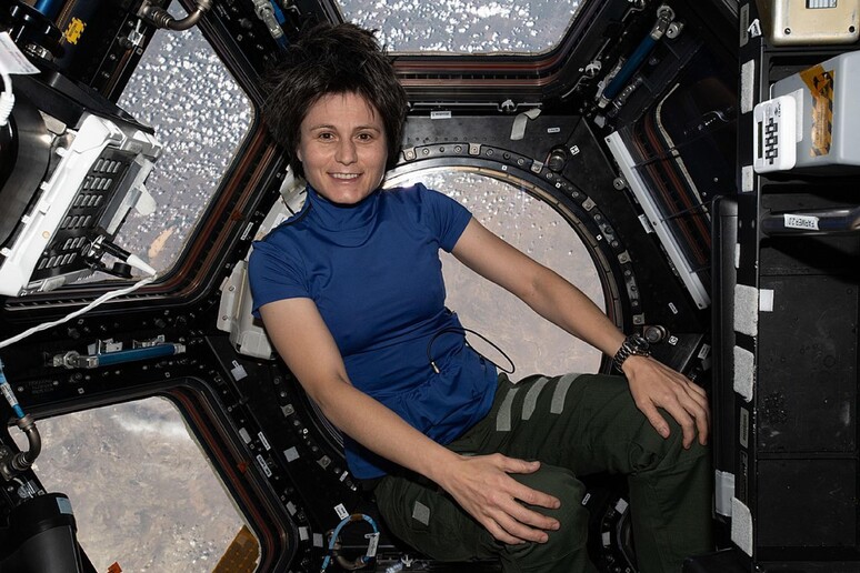 Samantha Cristoforetti a bordo della ISS (fonte: NASA Johnson Space Center) -     RIPRODUZIONE RISERVATA