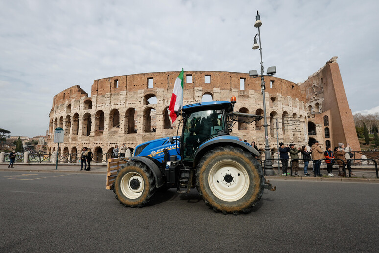 -     RIPRODUZIONE RISERVATA