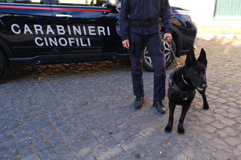 Il Nucleo Cinofili dei Carabinieri di Santa Maria di Galeria -     RIPRODUZIONE RISERVATA