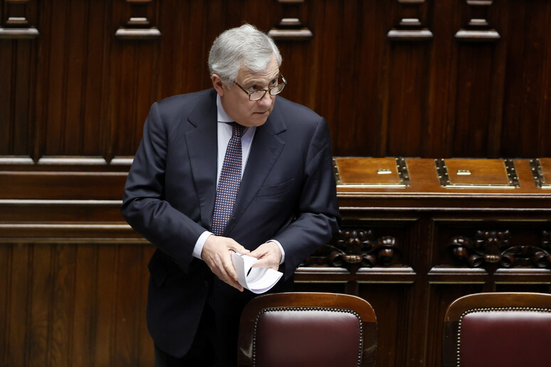 Tajani, ok del governo alla mozione di maggioranza su missioni -     RIPRODUZIONE RISERVATA