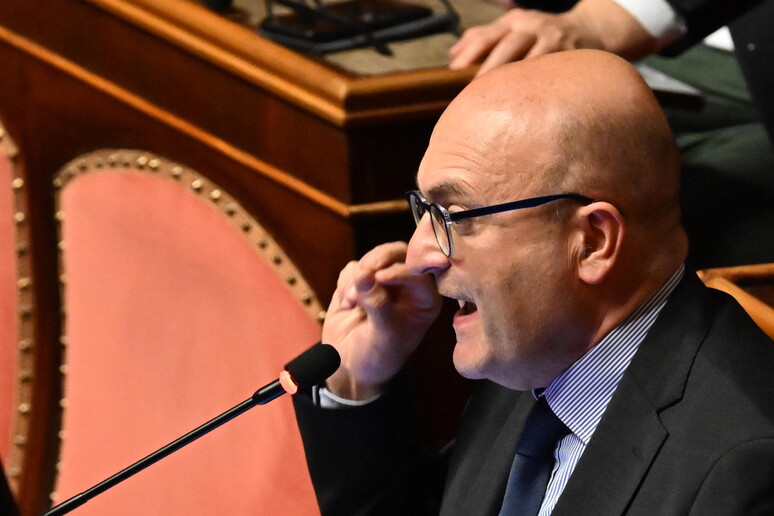 Senato: al via in Aula l 'esame del Def - RIPRODUZIONE RISERVATA