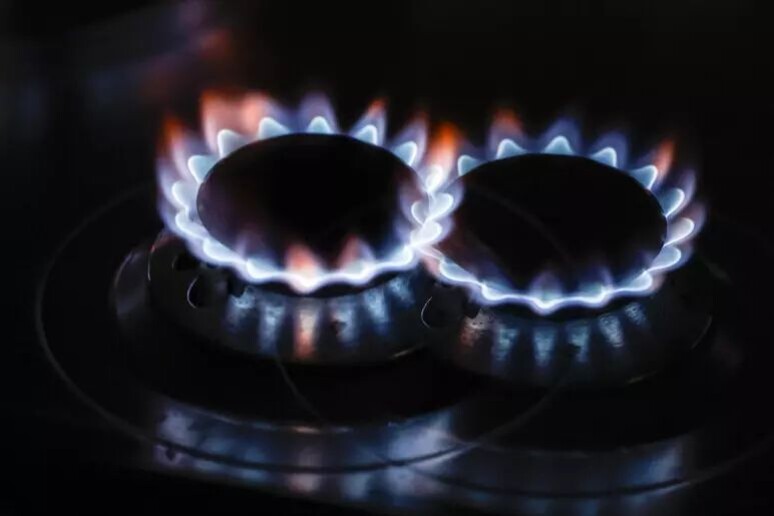 Corte dei Conti: "Ancora scarsa la solidarietà tra i Paesi sul gas" - RIPRODUZIONE RISERVATA