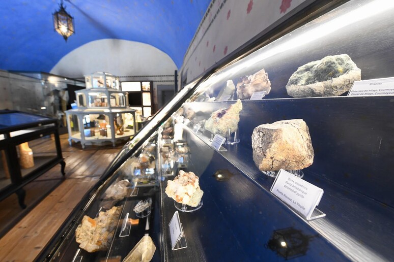 Marmotta del Lyskamm rilancia l’offerta del Museo di Saint-Pierre - RIPRODUZIONE RISERVATA
