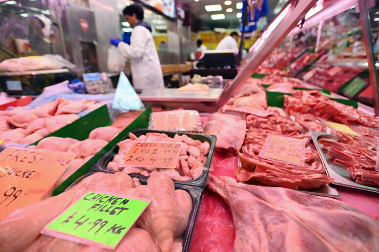 Cina, indagine antidumping su prodotti carne maiale da Ue - RIPRODUZIONE RISERVATA