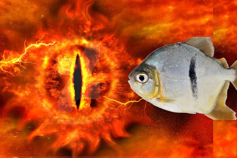 Ricorda l 'occhio di Sauron, la nuova specie di piranha (fonti: occhio di Sauron di Deviantart; pesce Myloplus sauron di Mark Sabaj/Academy of Natural Sciences, Drexel) - RIPRODUZIONE RISERVATA