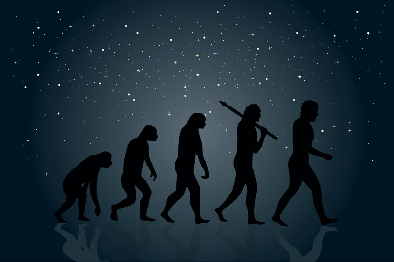 Gli esseri umano hanno cominciato a tramandare le conoscenze tecnologiche circa 600mila anni fa (fonte: 00Mate00,iStock) - RIPRODUZIONE RISERVATA