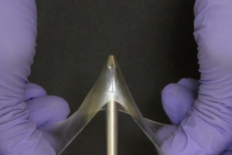 I gel vetrosi possono allungarsi fino a cinque volte senza rompersi (fonte: Meixiang Wang, North Carolina State University) - RIPRODUZIONE RISERVATA