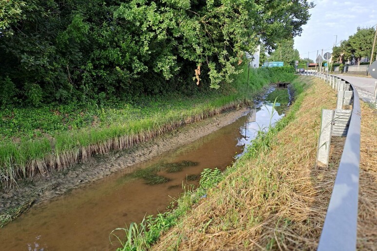 Tragico picnic, bimba di 3 anni cade in canale e muore - RIPRODUZIONE RISERVATA