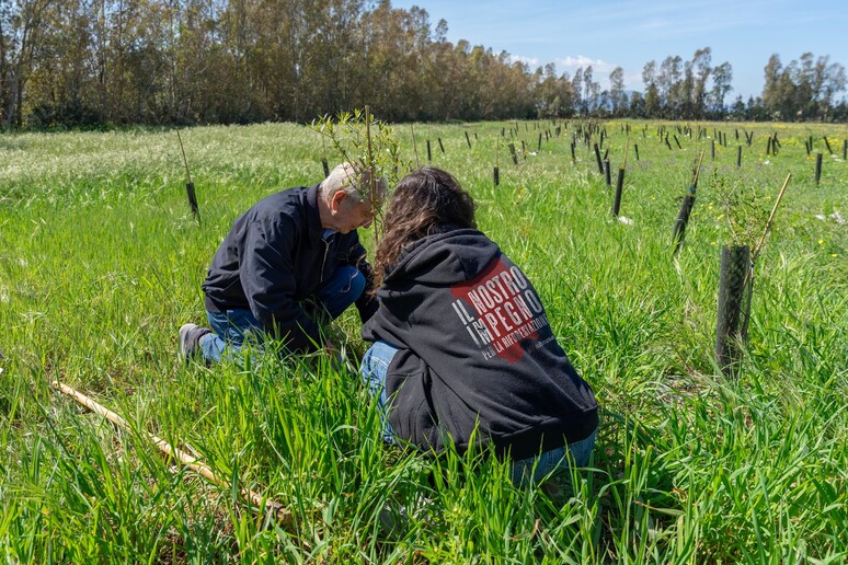 - RIPRODUZIONE RISERVATA