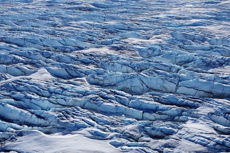I ghiacci della Groenlandia anneriti dalle microalghe (fonte: Shunan Feng) - RIPRODUZIONE RISERVATA