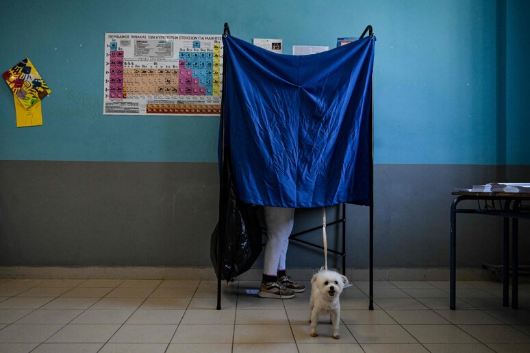 Elezioni Europee, alle urne con il cane