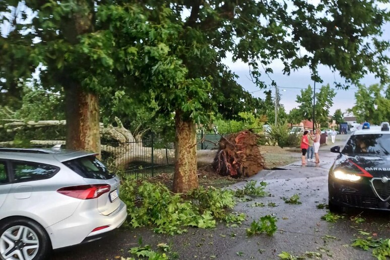 Maltempo: forti temporali nell'Alessandrino, alberi abbattuti