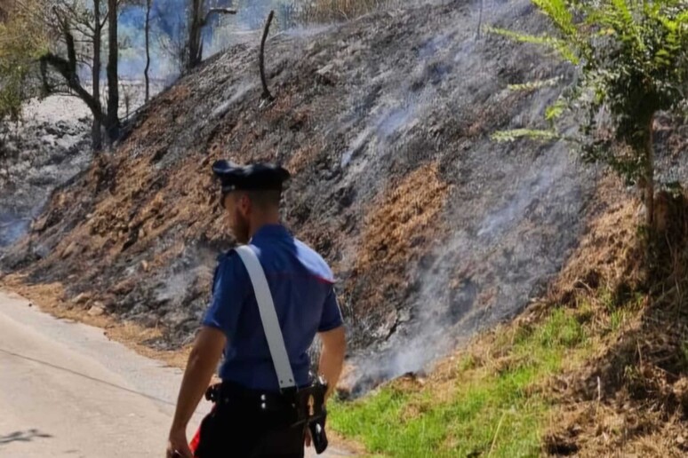 - RIPRODUZIONE RISERVATA