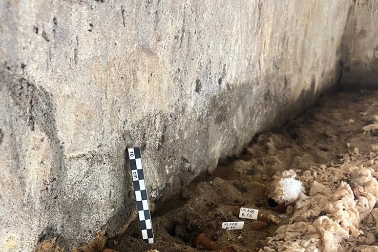 Tomba del Cerbero a Giugliano, scoperti i resti del capostipite