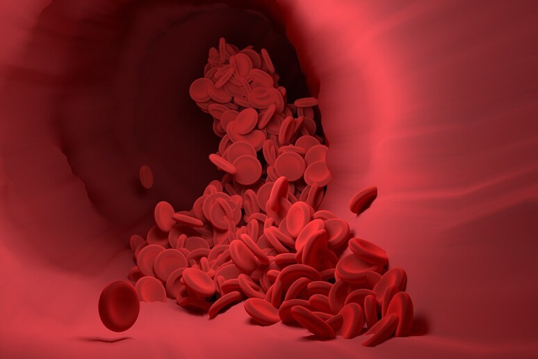 Nel sangue individuate le spie di 67 malattie (fonte: Pixabay) - RIPRODUZIONE RISERVATA