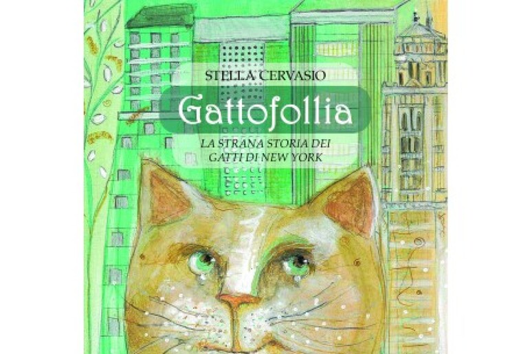 Gattofollia, la strana sparizione dei gatti di New York