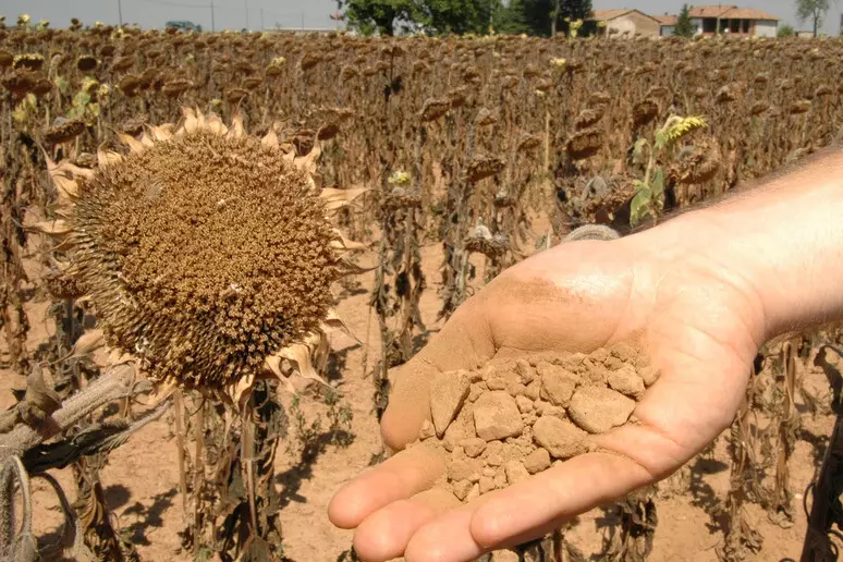 Allarme dell'Anbi: 'Fra 3 settimane niente acqua per i campi al Centrosud'