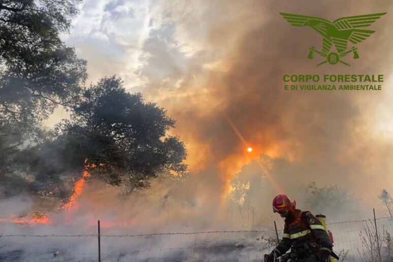 Incendio nel Nuorese, 700 ettari in fumo - RIPRODUZIONE RISERVATA