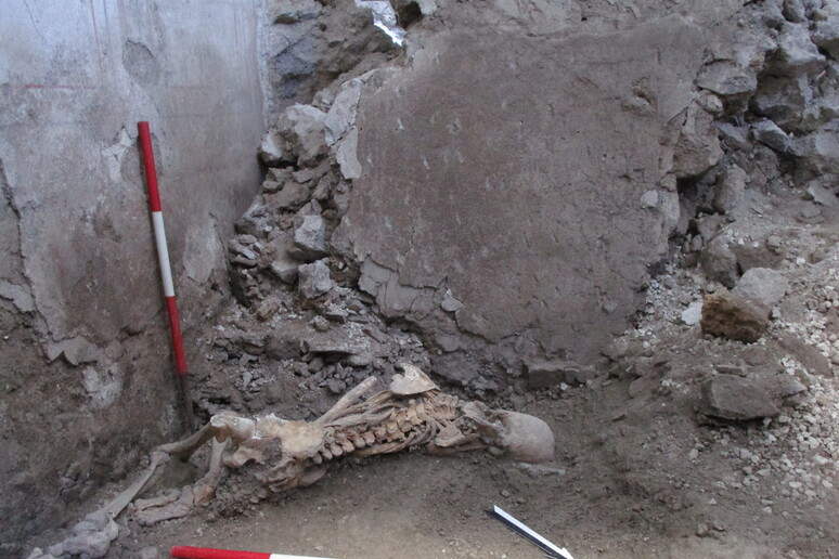 Dettaglio di uno dei due scheletri rinvenuti nell’insula dei Casti Amanti (fonte: INGV - Parco Archeologico di Pompei) - RIPRODUZIONE RISERVATA