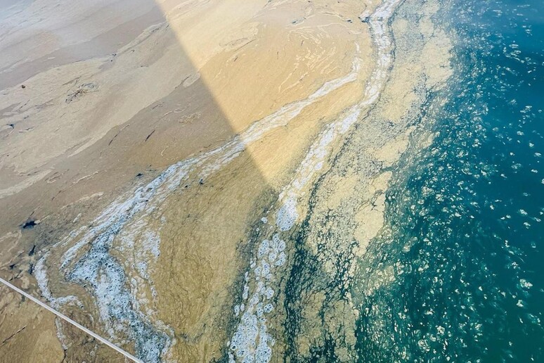 Mucillagine in Adriatico, a Rimini è boom delle piscine - RIPRODUZIONE RISERVATA