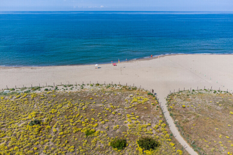 I divieti di Ferragosto - RIPRODUZIONE RISERVATA