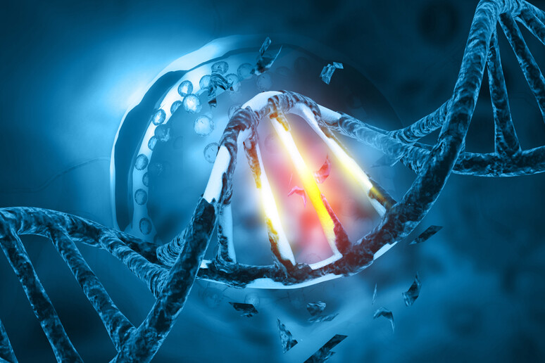 Rappresentazione artistica di un frammento di Dna danneggiato (fonte: Rasi Bhadramani, iStock) - RIPRODUZIONE RISERVATA