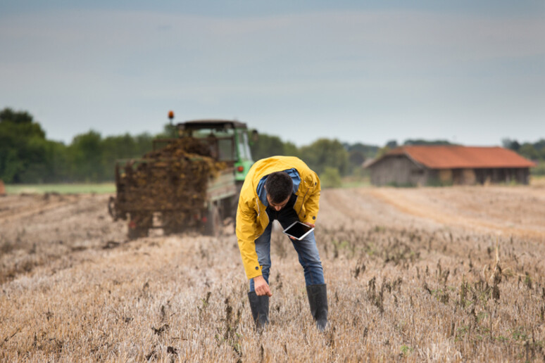 Parte un progetto di agricoltura sociale per recupero detenuti - RIPRODUZIONE RISERVATA