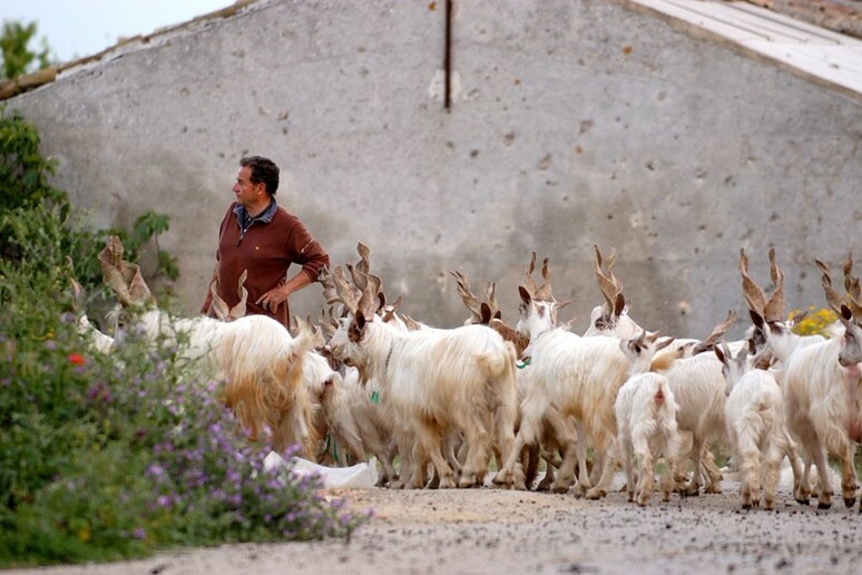 - RIPRODUZIONE RISERVATA