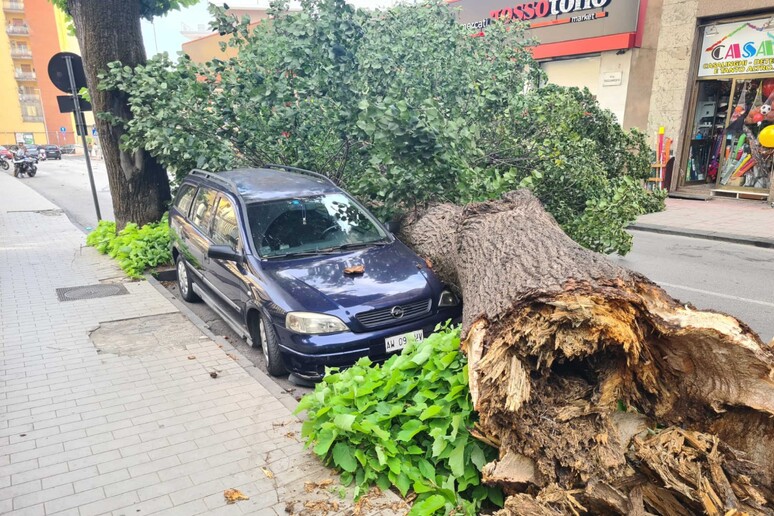 - RIPRODUZIONE RISERVATA