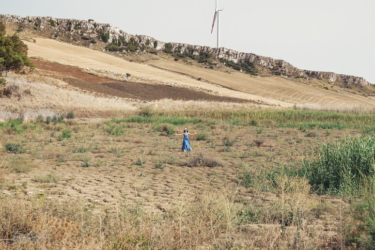 L 'Ue verso la nuova rete di dati sulla sostenibilità agricola - RIPRODUZIONE RISERVATA