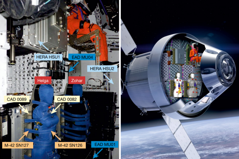 I dati arrivano dai tanti sensori collocati a bordo della capsula Orion e sui due manichini (fonte: George et al, Nature 2024) - RIPRODUZIONE RISERVATA