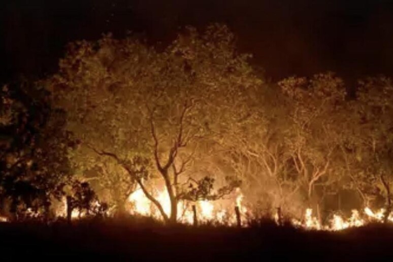 Il fumo degli incendi del Brasile raggiunge l'Africa