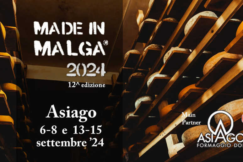 Made in Malga, al via evento dei formaggi di montagna - RIPRODUZIONE RISERVATA