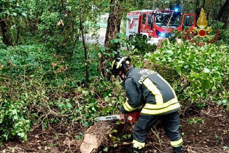 - RIPRODUZIONE RISERVATA