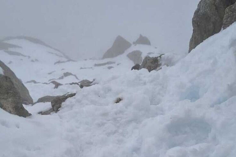 Le operazioni di soccorso dei due alpinisti bloccati sul Dente del Gigante - RIPRODUZIONE RISERVATA