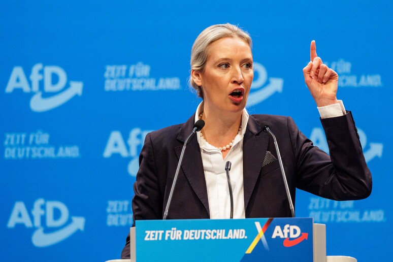 Weidel eletta all 'unanimità candidata cancelliera Afd © ANSA/AFP